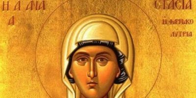 HIMAN SVETOJ STOŠIJI