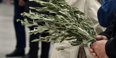 Molitva blagoslova grančica