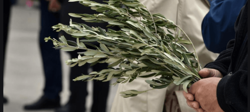 Molitva blagoslova grančica