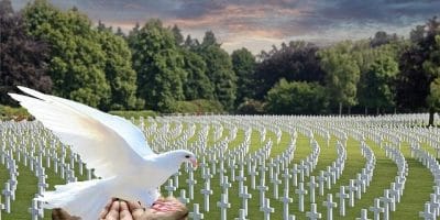 BIJELI KRIŽEVI VUKOVARA