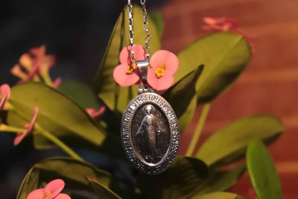 I Papa je zanijemio kad je ovo vidio