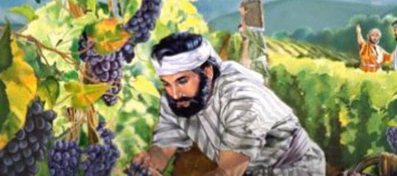 Vlč Marko Bubalo Vinograd Našega Srca(propovijed 24.09.2023)