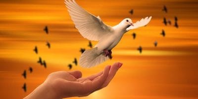 DUH NAS SVETI OBNAVLJA PO KRŠTENJU