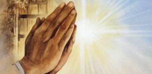 BIJELA KRUNICA ILI KRUNICA NEVINE DJEČICE